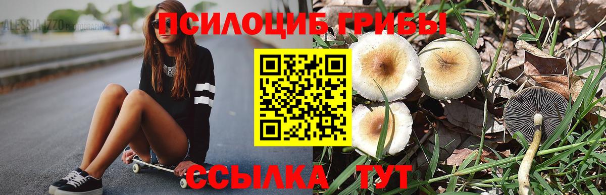 Унеча  Псилоцибиновые грибы Psilocybe  Вход с VPN  даркнет сайт  Псилоцибиновые грибы Psilocybe 