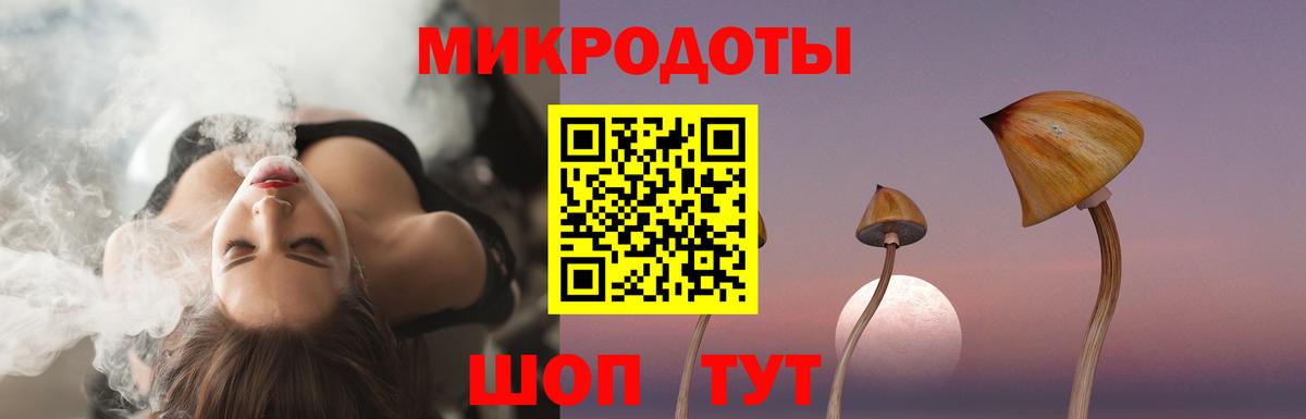 Псилоцибиновые грибы мицелий Унеча