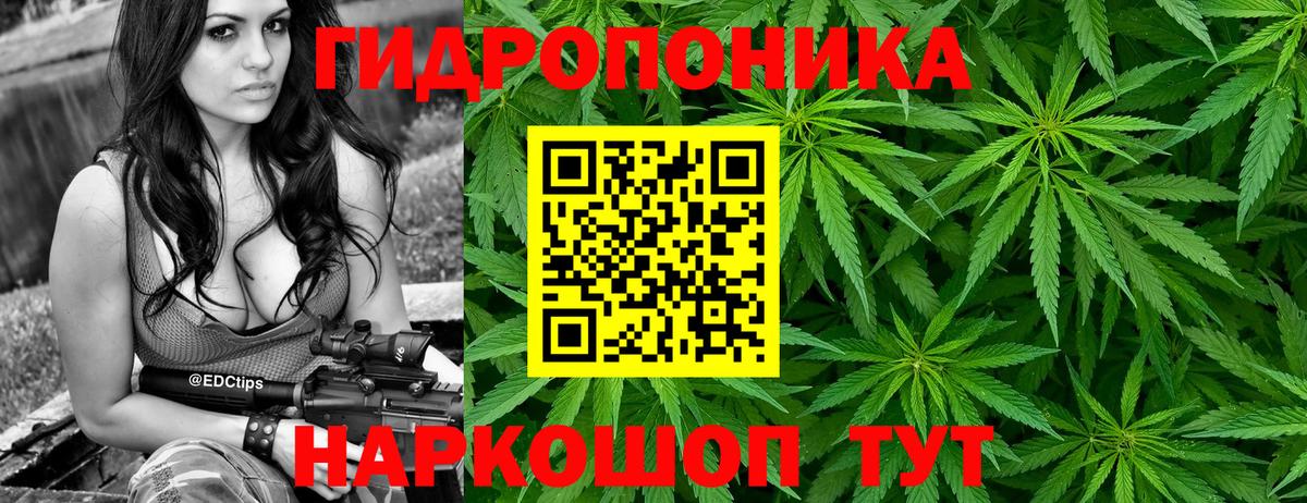 Марихуана Bruce Banner Унеча